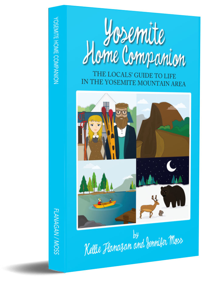 New Non-Fiction Book: Yosemite Home Companion